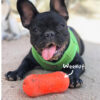 Peanut /  Weenut