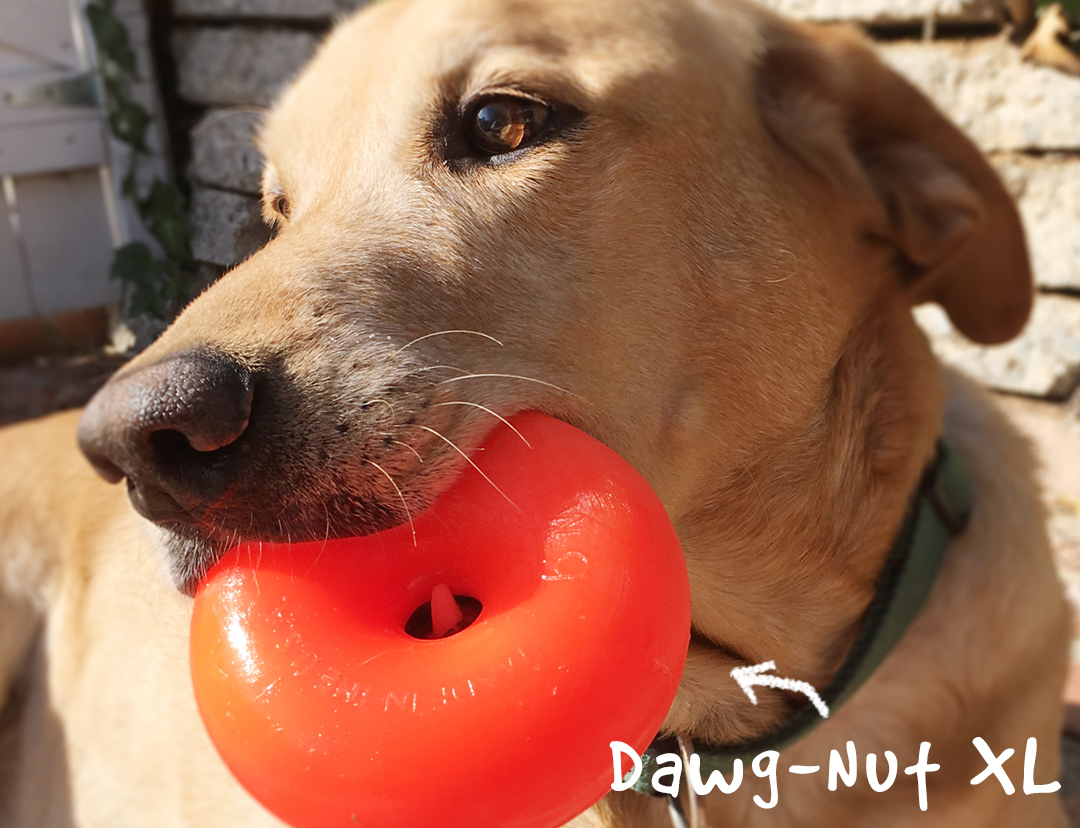 Ruff Dawg Peanut Crunch Dog Toy