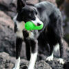 Dog holding the Ruff dawg Peanut rubber dog toy in his mouth