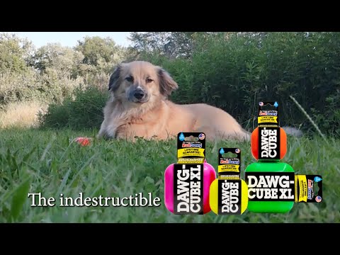 Ruff Dawg Indestructible Dawg Cube Dog Toy