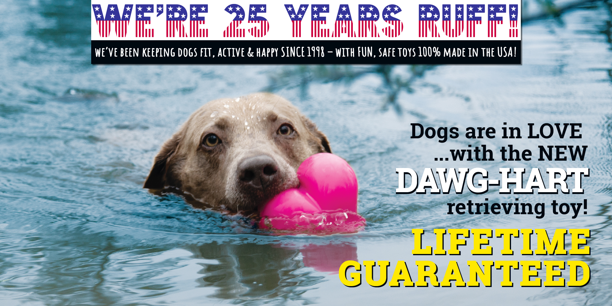 A cute labrador swimming in blue water holding Ruff Dawg's Dawg-Hart - a heart shaped toy - in her mouth. Dogs are in love with new Dawg-Hart Lifetime Guaranteed retrieving toy!