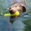 Dawg-Buster / Dawg-Buster XL
