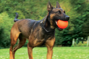 Ball / Ball XL / Ball XXL