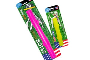 Stick / Twig