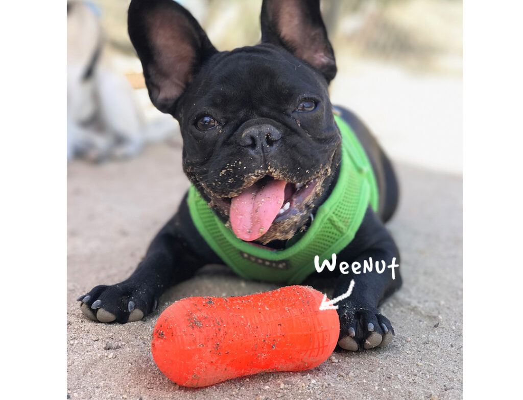 Peanut / Weenut
