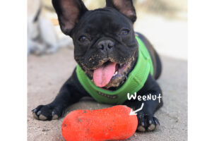 Peanut / Weenut