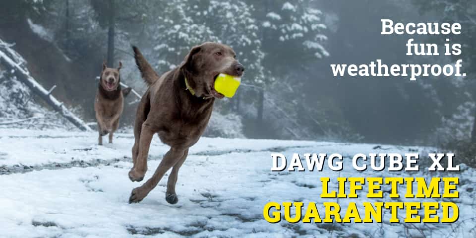 Dawg-Cube / Dawg-Cube XL