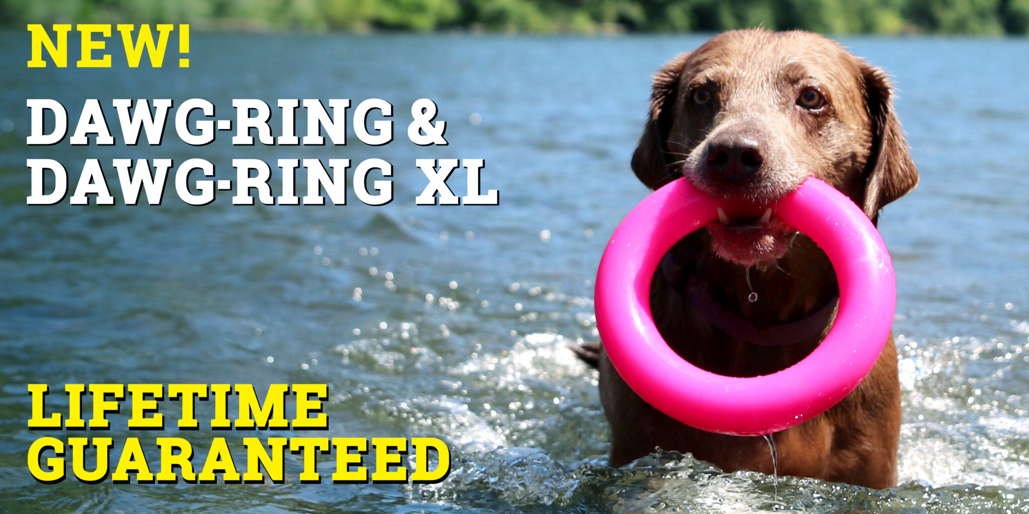 Dawg-Ring / Dawg-Ring XL